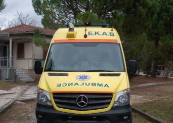 Alldaynews.gr Τραγωδία: Νεκρή μία γυναίκα – Έπεσε και χτύπησε όταν της έκανε «χαρές» ο σκύλος της