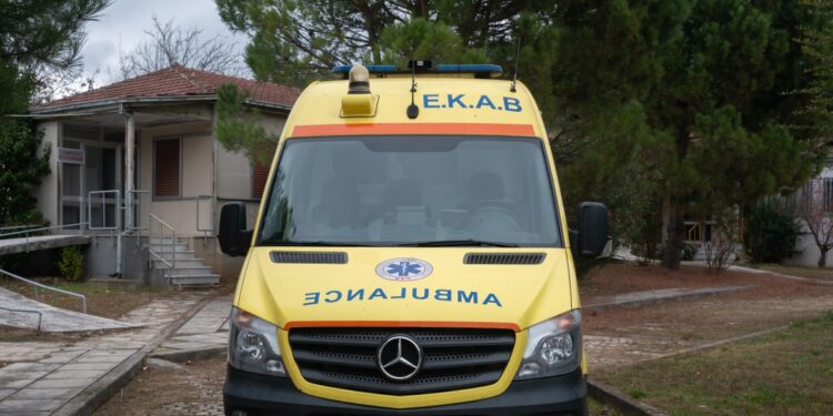Alldaynews.gr Τραγωδία: Νεκρή μία γυναίκα – Έπεσε και χτύπησε όταν της έκανε «χαρές» ο σκύλος της