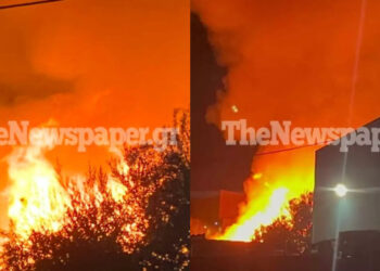 Alldaynews.gr ΕΚΤΑΚΤΟ – ΤΩΡΑ: Φωτιά σε εργοστάσιο – Συναγερμός στην Πυροσβεστική