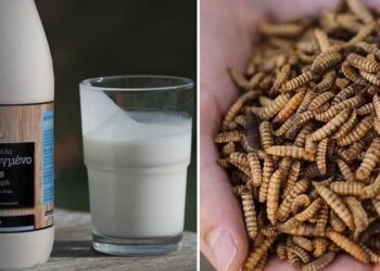 Η οικογένεια Σαράντη της Όλυμπος επενδύει στα έντομα – Η νέα αγορά μαμούθ ύψους 1,5 δισεκατομμυρίων ευρώ