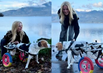 Ζέτα Μακρυπούλια: Βόλτα στη λίμνη Τριχωνίδα με τη σκυλίτσα του Μιχάλη Χατζηγιάννη