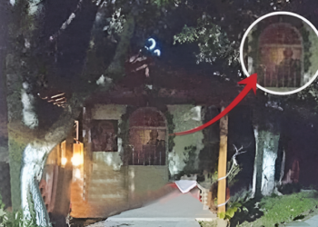 Alldaynews.gr Αγία Παρασκευή: «Ζει» ανάμεσα σε κατοίκους χωριού στα Τέμπη – Το θαύμα στο Καλοχώρι Λάρισας που συγκλονίζει