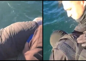 Alldaynews.gr Καρέ καρέ η διάσωση άνδρα που έπεσε στον Θερμαϊκό από αστυνομικούς: «Σε κρατάμε» (video)