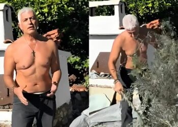 «Εγκεφαλıκά» οι Ελληνίδες με το βίντεο του Γιώργου Καλλιακμάνη – Έβγαλε το φανελάκι για να ραβδίσει ελιές και «έριξε» το ίντερνετ