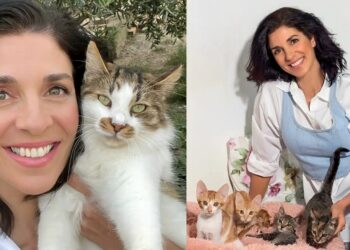 Ευτυχία Μελή: «Έχω 125 γάτες, χρειάζομαι 10 κιλά τροφή κάθε δύο μέρες»