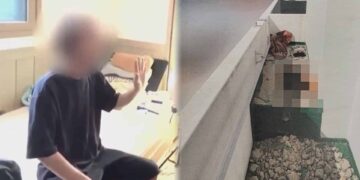 Alldaynews.gr Φpίκη: 50χρονος σκότwσε τη σύντροφό του και την «έχτισε» με τσιμέντο στο μπαλκόνι