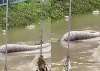 Νέα καταγγελία για το στρατιωτικό νοσοκομείο – Είπαν σε συνταγματάρχη έπειτα από 8 μήνες ότι πάσχει από καρκίνο