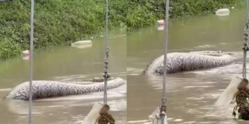 Alldaynews.gr Νέα καταγγελία για το στρατιωτικό νοσοκομείο – Είπαν σε συνταγματάρχη έπειτα από 8 μήνες ότι πάσχει από καρκίνο