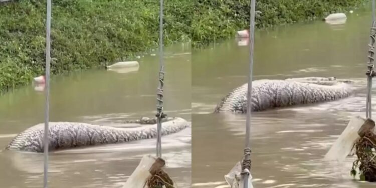 Alldaynews.gr Νέα καταγγελία για το στρατιωτικό νοσοκομείο – Είπαν σε συνταγματάρχη έπειτα από 8 μήνες ότι πάσχει από καρκίνο