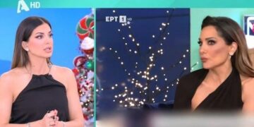 Alldaynews.gr Σταματίνα Τσιμτσιλή για Νίκο Κοκλώνη: “Αν φαλιρίσει η BarkingWell, θα δημιουργήσει πρόβλημα στην πιάτσα μας”