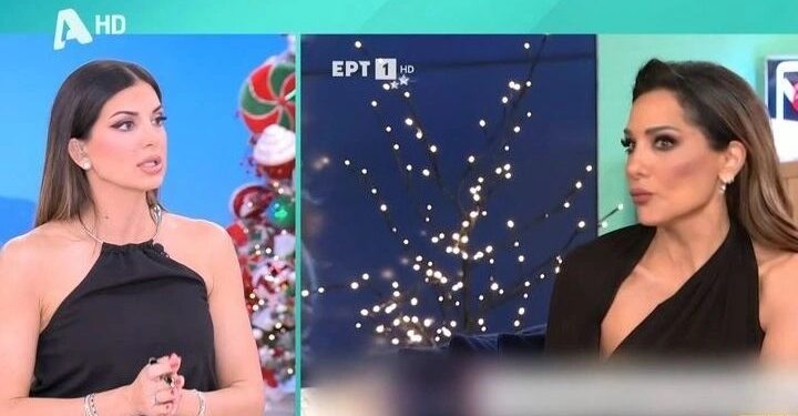 Alldaynews.gr Σταματίνα Τσιμτσιλή για Νίκο Κοκλώνη: “Αν φαλιρίσει η BarkingWell, θα δημιουργήσει πρόβλημα στην πιάτσα μας”