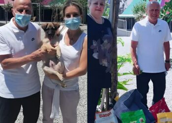 «Δεν θέλω χρήματα, βοηθήστε τα αδέσποτα»: Το συγκινητικό έργο ζωής του Μίμη Δομάζου