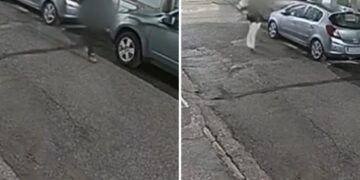 Alldaynews.gr Η εντυπωσιακή αστυνομικός «δόλωμα» και η σύλληψη του επιδειξία στο Περιστέρι – Έτσι έπιασαν τον 34χρονο