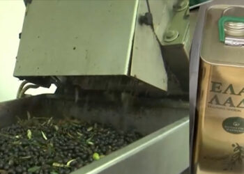 Χαμός με το ελαιόλαδο: Ξεχάστε τον τενεκέ από το χωριό! – Πόσο είναι το πρόστιμο