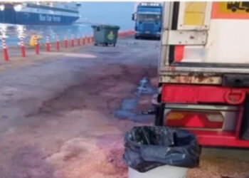 Εντοπίστηκαν 20 τόνοι σάπιου κρέατος στον Πειραιά που θα διοχετεύονταν κατευθείαν σε ψητοπωλεία και σουβλατζίδικα: «Βρωμούσε ο τόπος» (video)