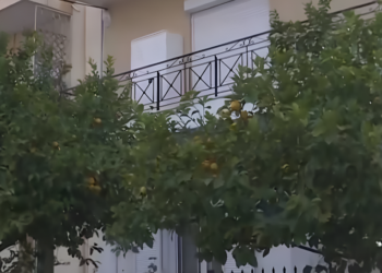 «Χαροπαλεύει» ο ηλικιωμένος που πήγε να κόψει λεμόνια από αυλή: Του επιτέθηκε ο ιδιοκτήτης – «Το περιμέναμε» λένε γείτονες
