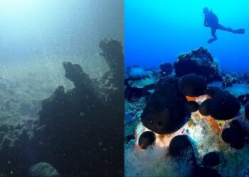 Εικόνες που… κόβουν την ανάσα: Δύτες βούτηξαν να δουν από μέσα το ηφαίστειο της Σαντορίνης κι έπαθαν πλάκα με αυτό που είδαν