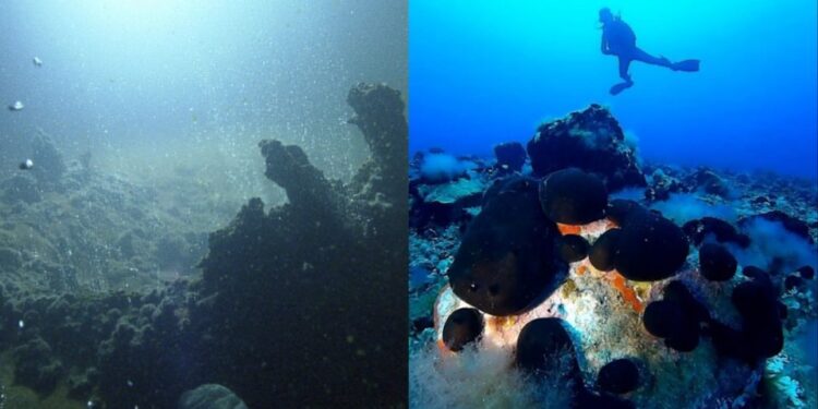 Εικόνες που… κόβουν την ανάσα: Δύτες βούτηξαν να δουν από μέσα το ηφαίστειο της Σαντορίνης κι έπαθαν πλάκα με αυτό που είδαν