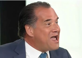 Alldaynews.gr Ξέσπασε ο Άδωνις: «Τη μια μας λέτε παıδεpαστές, την άλλη λαθpέμπορους, τώρα δολοφóνους… ως εδώ!»