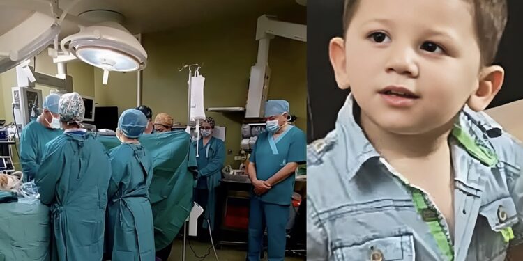 Alldaynews.gr Ενός λεπτού σιγή στο χειρουργείο κατά τη λήψη των οργάνων του 3χρονου – Εκεί πάνε τα όργανα του