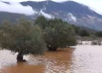 Alldaynews.gr Βυθισμένη στα λασπόνερα η Κεφαλονιά εδώ και 48 ώρες – Αποκλεισμένα σπίτια και κάμποι που έγιναν λίμνες