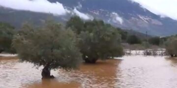 Alldaynews.gr Βυθισμένη στα λασπόνερα η Κεφαλονιά εδώ και 48 ώρες – Αποκλεισμένα σπίτια και κάμποι που έγιναν λίμνες