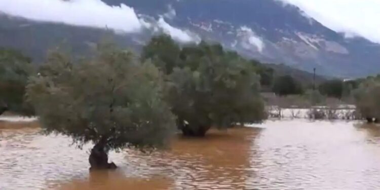 Alldaynews.gr Βυθισμένη στα λασπόνερα η Κεφαλονιά εδώ και 48 ώρες – Αποκλεισμένα σπίτια και κάμποι που έγιναν λίμνες