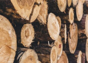 Ο ρόλος των υλικών εμποτισμού στη διατήρηση της ανθεκτικότητας του ξύλου