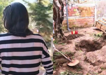 Alldaynews.gr Αποκάλυψη: Αυτός είναι ο λόγος που τσακώθηκε το ζευγάρι πριν από το φονικό – «Μακάρι να γυρνούσε ο χρόνος πίσω»