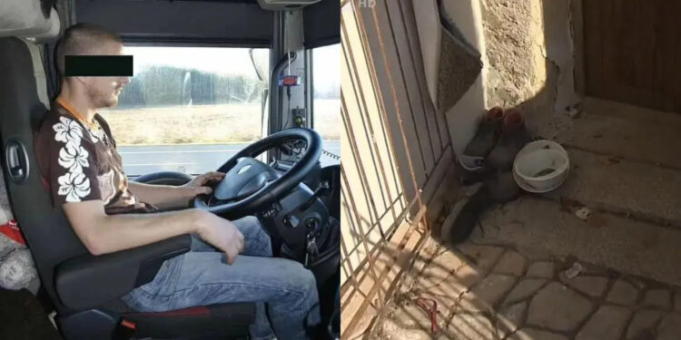 Alldaynews.gr Αυτός είναι ο οδηγός φορτηγού που βίασε, αλυσόδεσε και έβαζε να τρώει σαν σκύλος 27χρονη – Κατάφερε να αποδράσει με τις αλυσίδες