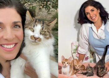 Ευτυχία Μελή: «Έχω 125 γάτες, χρειάζομαι 10 κιλά τροφή κάθε δύο μέρες»