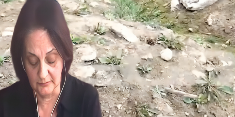 Alldaynews.gr Συγκλονίζει μητέρα θύματος των Τεμπών: Η οικογένεια εντόπισε μόνη της το οικόπεδο με τα χώματα από το «ξεμπάζωμα» – Τι της απάντησε ο Αγοραστός