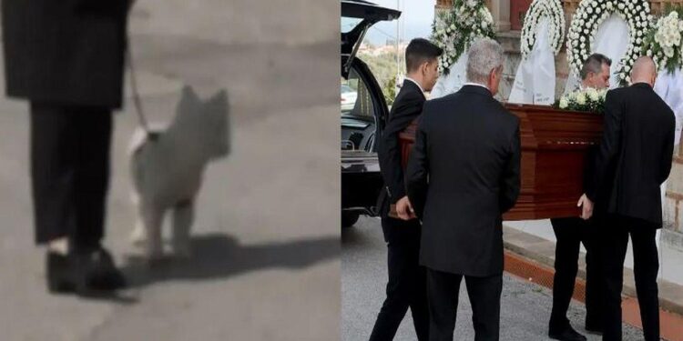 Alldaynews.gr Κηδεία Καίτης Κωνσταντίνου: Ο σκύλος της θα την συνοδεύσει στην τελευταία της κατοικία