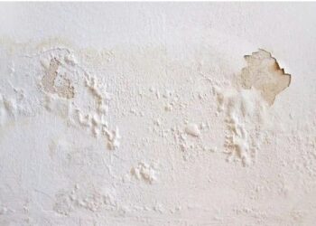 Πώς να αντιμετωπίσετε μουχλιασμένους, φουσκωμένους ή ξεφλουδισμένους τοίχους χωρίς να προσλάβετε επαγγελματία