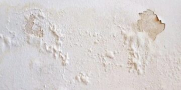 Alldaynews.gr Πώς να αντιμετωπίσετε μουχλιασμένους, φουσκωμένους ή ξεφλουδισμένους τοίχους χωρίς να προσλάβετε επαγγελματία