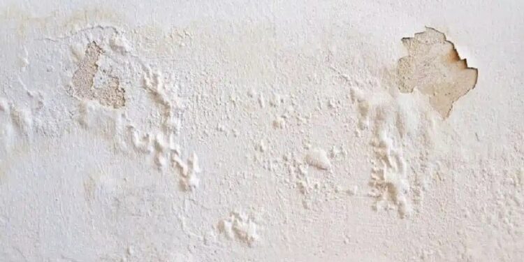 Alldaynews.gr Πώς να αντιμετωπίσετε μουχλιασμένους, φουσκωμένους ή ξεφλουδισμένους τοίχους χωρίς να προσλάβετε επαγγελματία