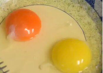 Τι σημαίνει αν ο κρόκος ενός αυγού είναι κίτρινος ή πορτοκαλί – Ποιος είναι ο πιο υγιεινός