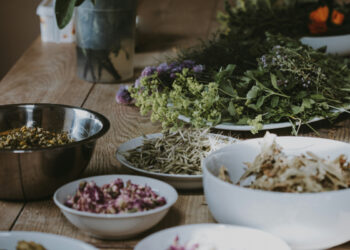 Το βότανο που μειώνει τον κίνδυνο εμφάνισης Αλτσχάιμερ, σύμφωνα με το Χάρβαρντ