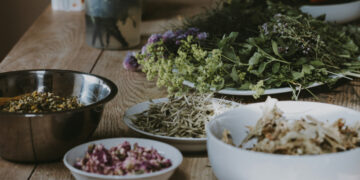 Το βότανο που μειώνει τον κίνδυνο εμφάνισης Αλτσχάιμερ, σύμφωνα με το Χάρβαρντ