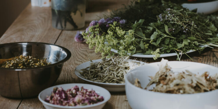 Το βότανο που μειώνει τον κίνδυνο εμφάνισης Αλτσχάιμερ, σύμφωνα με το Χάρβαρντ