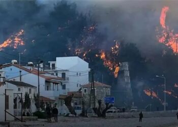 Φωτιά τώρα σε ελληνικό νησί: Καίγεται δασική έκταση – Μεγάλη επιχείρηση της πυροσβεστικής