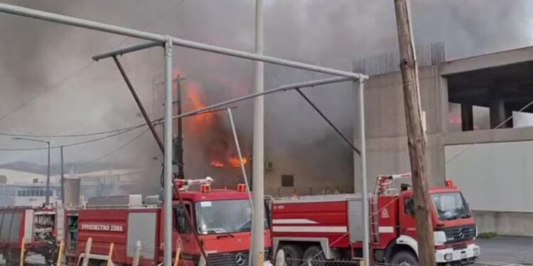 Alldaynews.gr ΕΚΤΑΚΤΟ: Φωτιά στη Βιομηχανική Περιοχή – Ήχησε το 112: «Κλείστε πόρτες και παράθυρα»