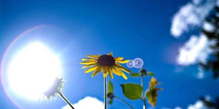 Alldaynews.gr Καιρός: Θερμές αέριες μάζες φέρνουν 25άρια και αφρικανική σκόνη