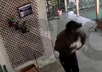 Απίστευτο περιστατικό: Άρπαξε σκύλο από αυλή σπιτιού μέρα μεσημέρι – «Το είχα σαν παιδί μου»