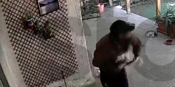 Alldaynews.gr Απίστευτο περιστατικό: Άρπαξε σκύλο από αυλή σπιτιού μέρα μεσημέρι – «Το είχα σαν παιδί μου»