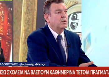 Alldaynews.gr Δεν αλλάζει στάση ο Νίκος Παπαδόπουλος: «Αν μπορούσα, θα ξαναπήγαινα στην Πινακοθήκη να τα κατεβάσω»