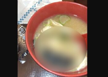 «Λουκέτο» σε καταστήματα γνωστής αλυσίδας ταχυφαγείων – Ποντίκι και έντομο βρέθηκαν σε πιάτα