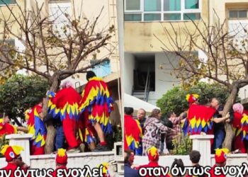 Απίστευτο ξύλο σε Καρναβάλι στην Κρήτη: Αρπάχτηκαν δύο «πουλιά» και μετά έγινε ροντέο (video)