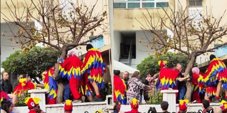 Alldaynews.gr Απίστευτο ξύλο σε Καρναβάλι στην Κρήτη: Αρπάχτηκαν δύο «πουλιά» και μετά έγινε ροντέο (video)
