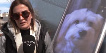 Συγκλονισμένη η ιδιοκτήτρια του μικρόσωμου σκύλου που κατασπαράχθηκε – «Αυτό που έζησα να μην το ζήσει κανείς» (video)
